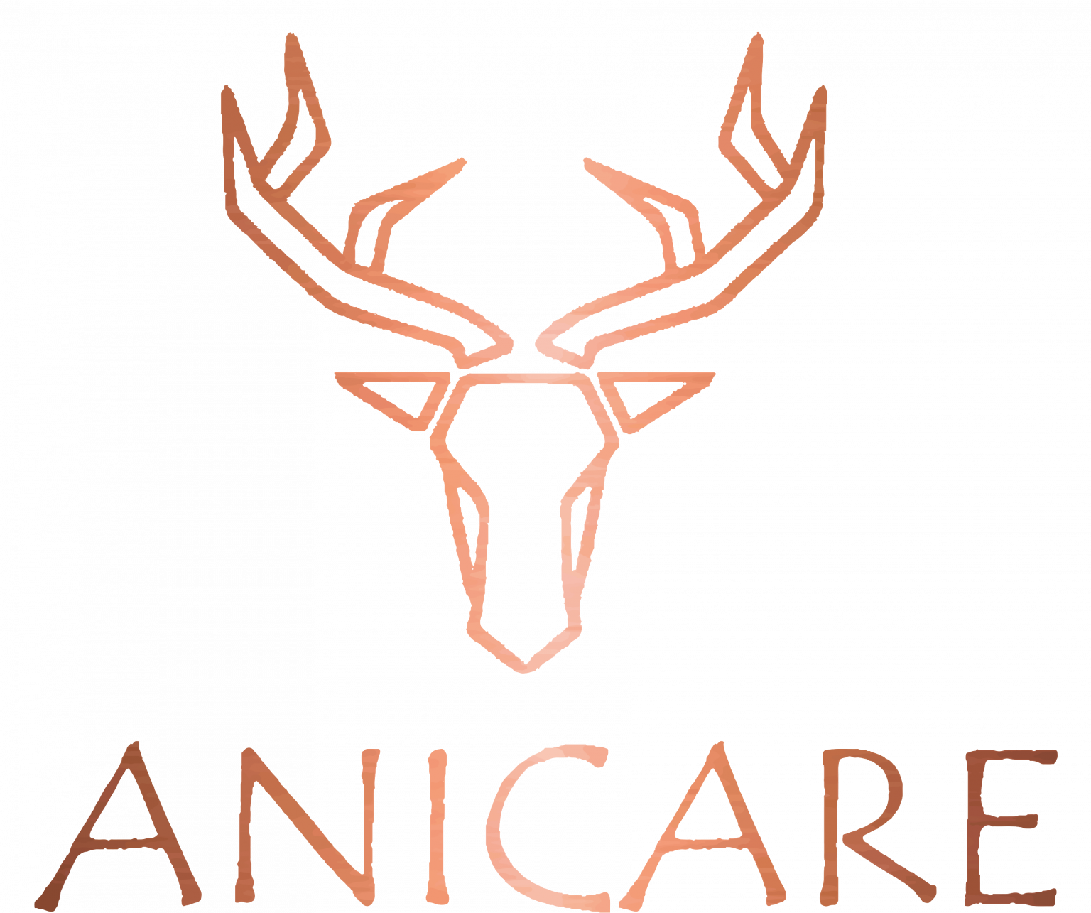 Anicare Logo